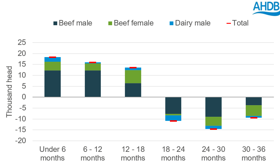 Bar chart showing YoY change in beef cattle by age